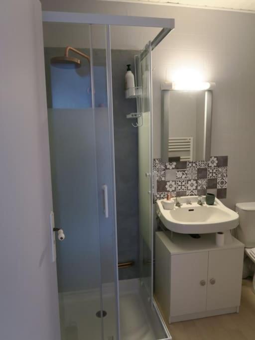 Appartement Des Hirondelles , Au Pied Du Chateau Chinon Bagian luar foto